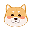 wowo5897的头像